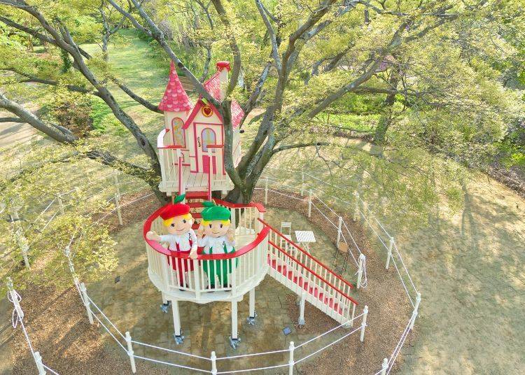 圖片來源：京成玫瑰園藝股份有限公司