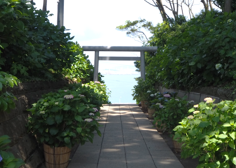 (Photo by author: Alice Lee/LIVE JAPAN)