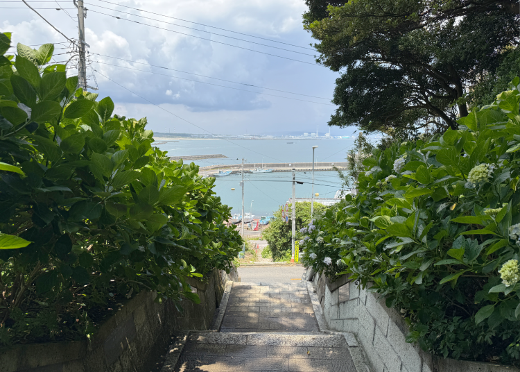 (Photo by author: Alice Lee/LIVE JAPAN)