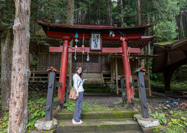 A Hidden Escape Near Tokyo: Explore Kosuge Village by E-Bike and Discover Life at the Source of the Tama River