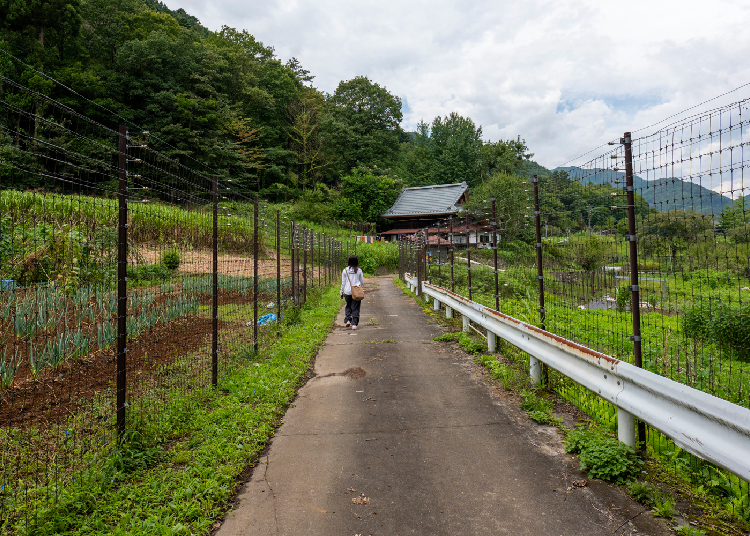 Road near Mitake Shrine (Image credit: Timothy Sullivan/LIVE JAPAN)