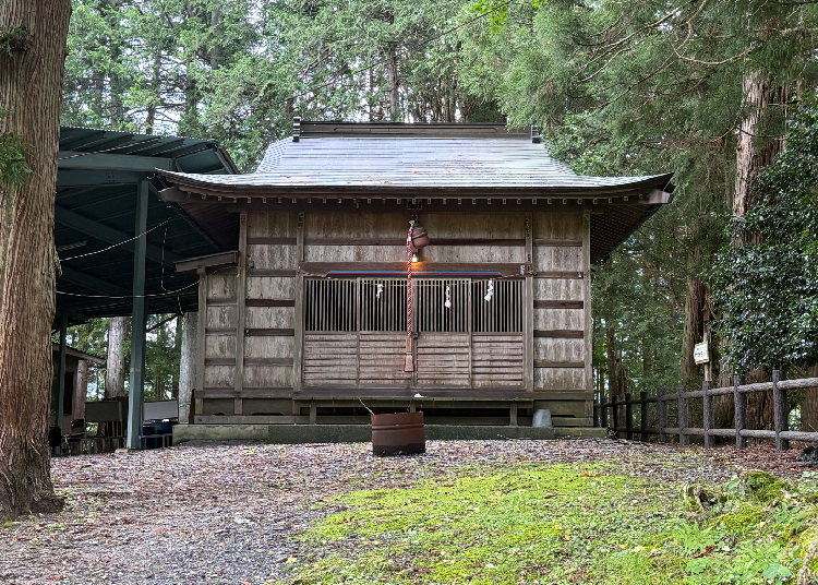 Kumano Shrine (Image credit: Timothy Sullivan/LIVE JAPAN)