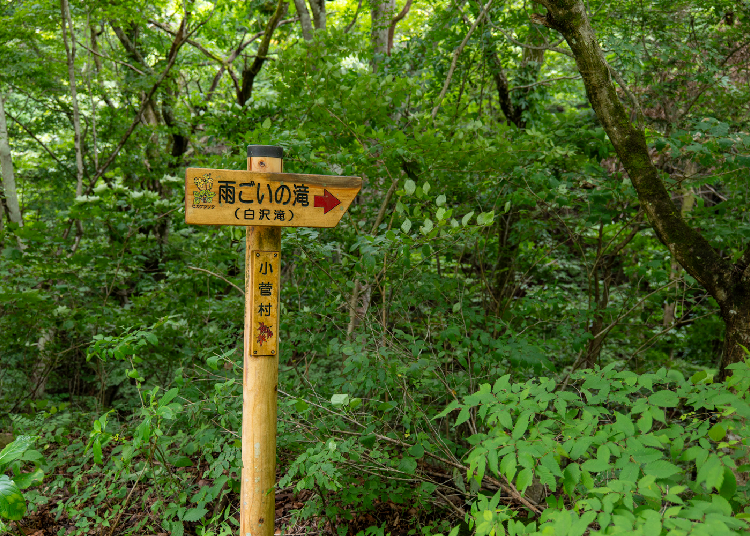 Sign marking the entrance to Amegoi Falls (Image credit: Timothy Sullivan/LIVE JAPAN)