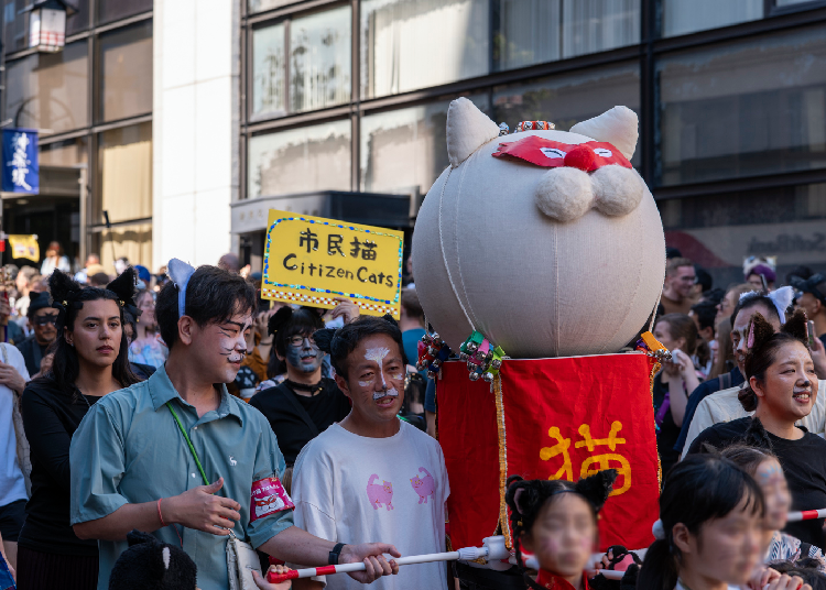 A charming cat mikoshi (portable shrine) (Photo credit: Timothy Sullivan/LIVE JAPAN)