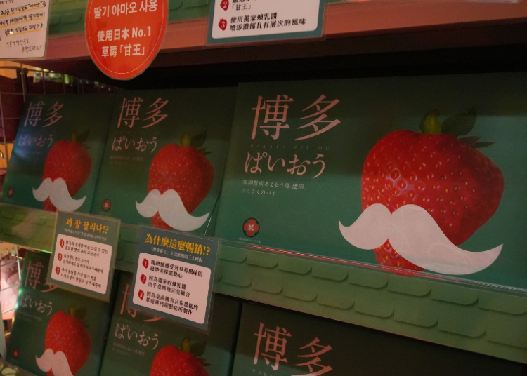 Tour the Daimyo cafes totally hands-free! A brilliantly smart departure-day route