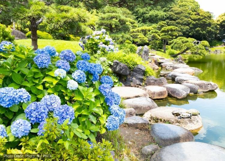 清澄庭園