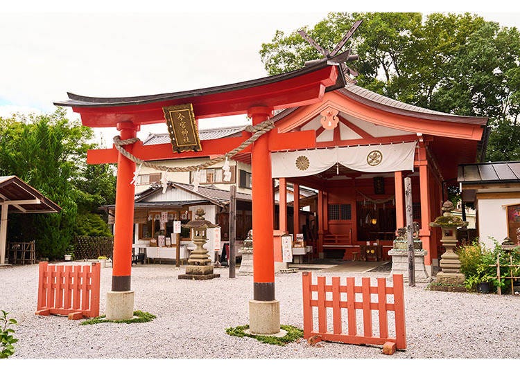 景點1|秩父今宮神社:挑戰神奇的「水御籤」,感受千年神木靈氣