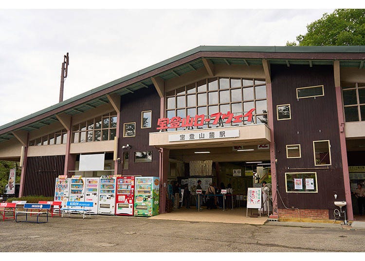 景點 3|長瀞寶登山纜車 & SUSABINO TERRACE:飽覽山景與超萌小動物的放空時光