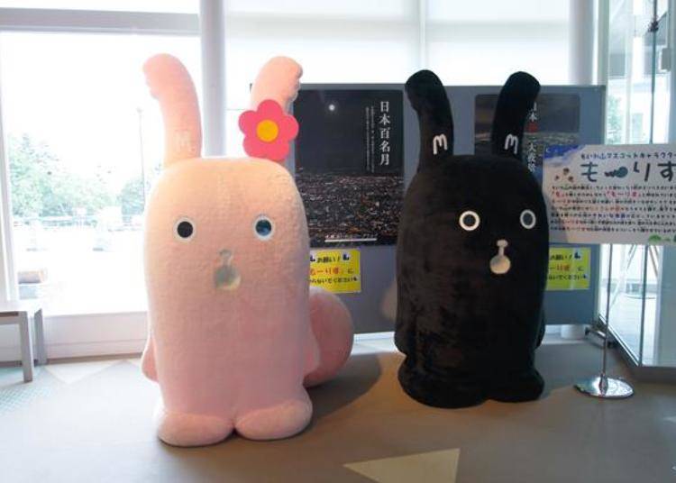Next to the shop are the mascot characters Morris (right) and his wife Morris Mama (left).