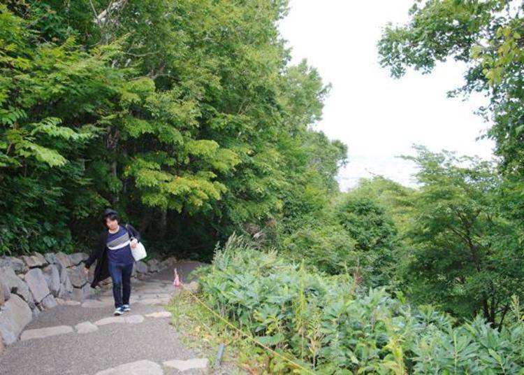 Gentle winding pathway going up the hillside.