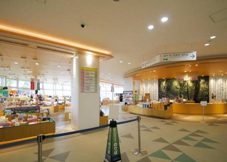 下车后就会看到「Moi moi之店」,是站内贩卖伴手礼和纪念品的专卖店。 「Morisu Car 」登山缆车的搭乘处在右方。往左边一直走到底就可以到户外去。
