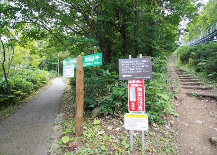 自然学习步道是整修过的柏油路（左），登山步道是跟着「Morisu Car」轨道的阶梯（右）。两条路的终点都是山顶