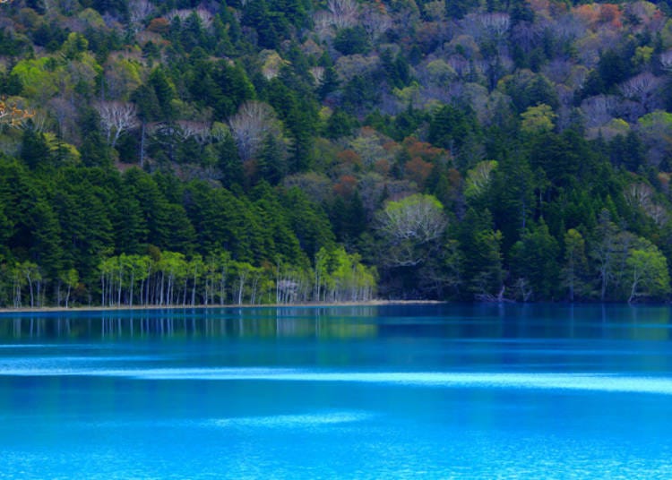 The blue lake surface contrasts beautifully with the green trees. This brilliant color is called Onneto Blue (Photo: Ashoro Tourism Association)