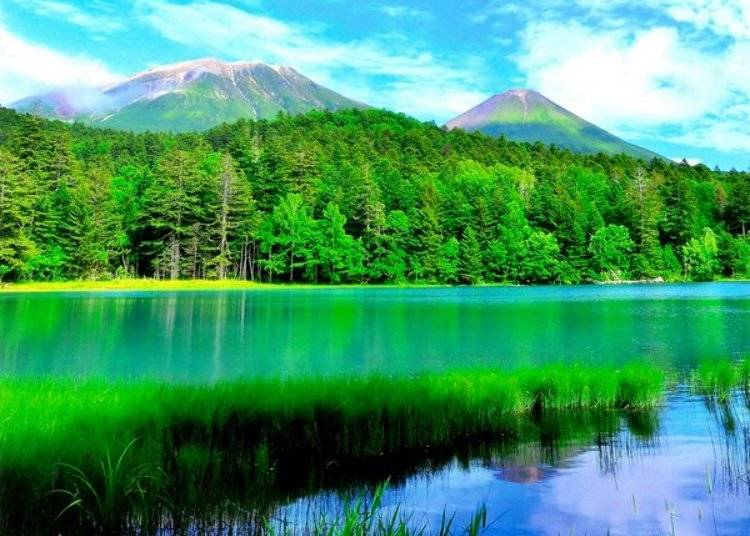 Emerald green lake surface. Depending on viewing angle and light conditions, the intensity of the color will vary. (Photo: Ashoro Tourism Association)