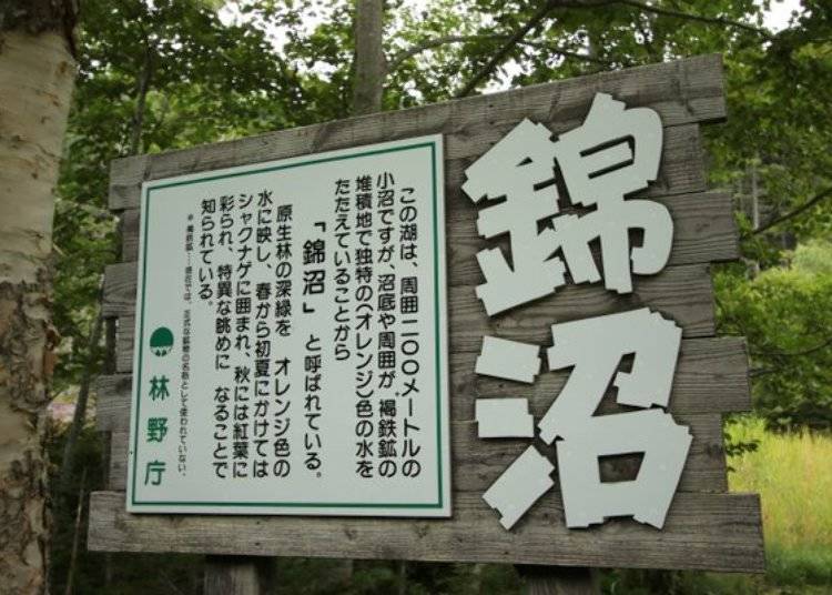 It is only about five minutes away from the observation deck and may be difficult to see because it is surrounded by thick forest. There is a signboard along the way.