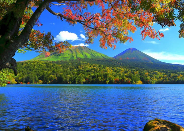 사계절 내내 다채로운 경치를 볼 수 있는 온네토(사진제공: 아쇼로 관광협회)