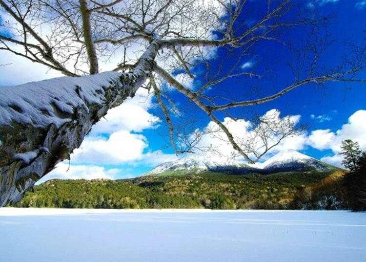 ▲过了十一月则可能看见远内多湖的雪景，只不过十二月中到四月中为严寒冬季，国立公园内前往远内多湖的道路是不对外开放的，因此也无法到湖周围观光了／照片提供：Ashoro Tourism Association