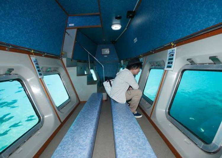 ▲Here is the view at the bottom of the ship. It looks as if you are in an aquarium!