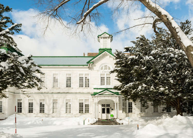 Why Hokkaido University Campus is a Must on a Trip to Northern Japan