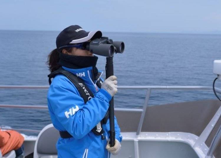 Exploring the surroundings with the staff from the top of the deck (Photo courtesy: Shiretoko Nature Cruise)