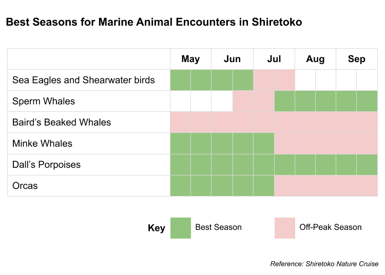 Best Seasons for Marine Animal Encounters in Shiretoko