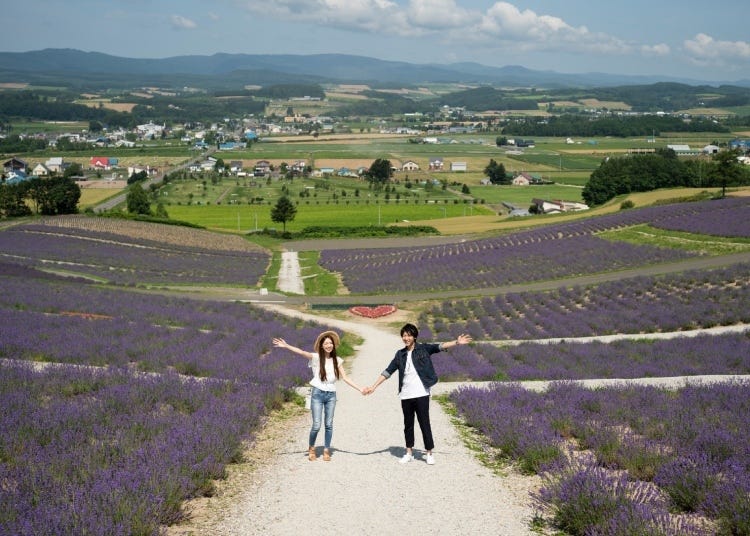 Hokkaido Lavender Fields: 6 Best Places in Furano to See Japan's Dreamiest Purple Meadows