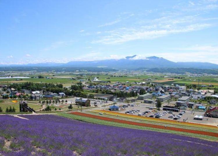 ▲The view going down is also amazing! It is as if you are walking on air above a flower field.