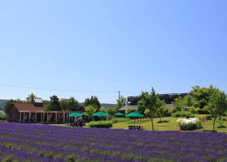 ▲Next to the observation deck is the Lavare House offering gifts and light meals