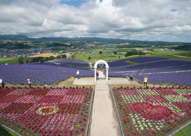 ▲Past the observation deck surrounded by flowers is the view of the Furano flower fields and Furano basin beyond