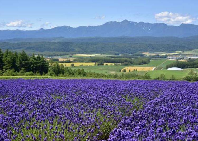 ▲With a majestic rural landscape, Rokugo was the set location for the Japanese drama Kita No Kuni Kara