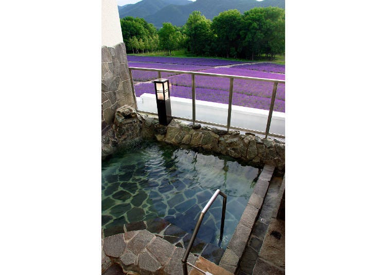 ▲Past the fence of the hot spring is the Sea of Lavender