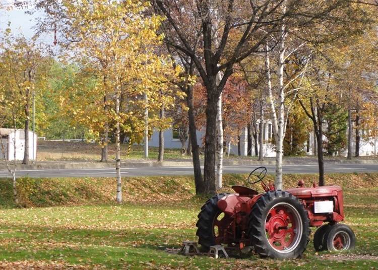 Inside the cheese park is where you will find tractors, objects, and more. The park is especially beautiful with the fresh green leaves of May and autumn leaves in October!