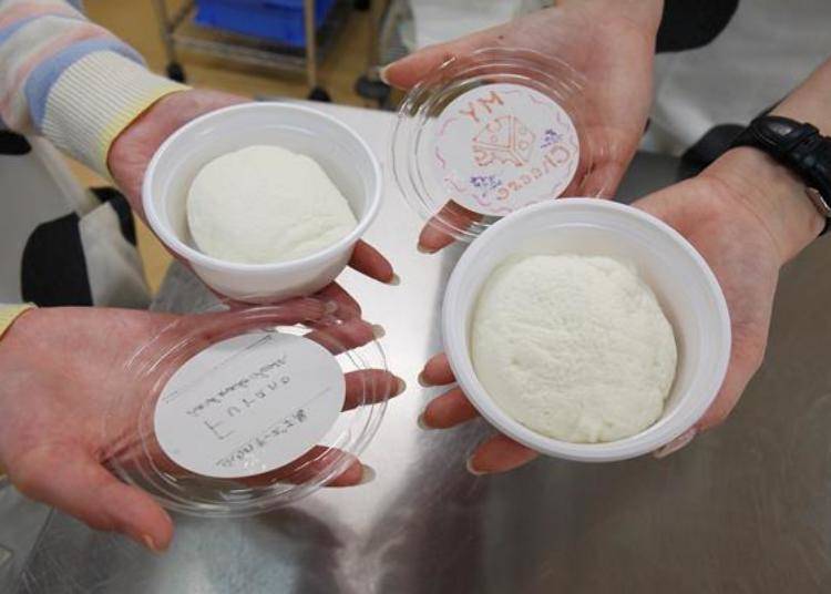 Place the cheese in a plastic case and attach the labels made onto the lid