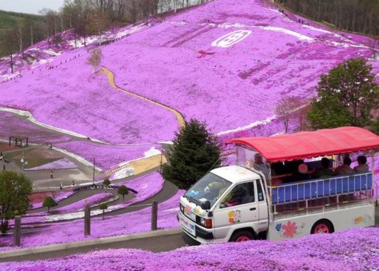 ▲This sightseeing truck makes it possible to enjoy all areas of the park, even the tops of the hills. Fares: 300 yen for adults and 150 yen for elementary school students (tax included in both fares)