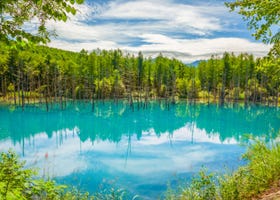 패치워크 길, 청의 호수를 포함한 후라노, 비에이 여행의 대표적인 관광 명소 추천
