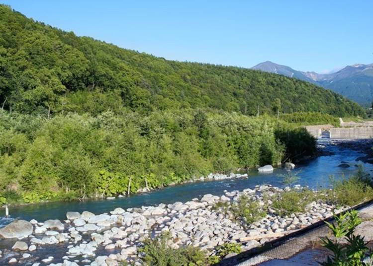 ▲Behind the Blue Pond, Biei River’s water also looks blue. This area is also called Blue River