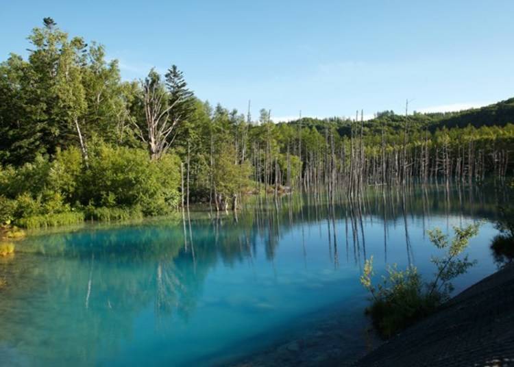 ▲There is a pathway above the dam. The steep sloped dam continues to the water surface