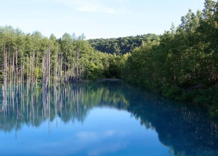 ▲On the day of our visit, it looked like a blue mirror