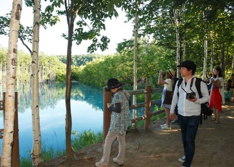 池畔四周有白華木，沿途有木林步道， 散步的觀光客們都拿著相機或是手機，拍下這神秘的美景。