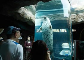 Asahiyama Zoo (Asahikawa): Complete Guide to Hokkaido's Incredible Zoo!