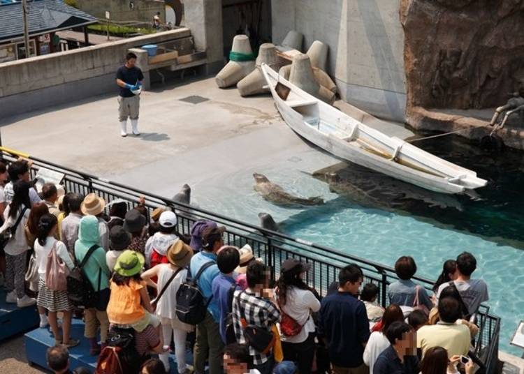 ▲The enclosure looks like a port in Hokkaido with a small fishing boat and tetrapod. Many people come to watch the mogumogu time.