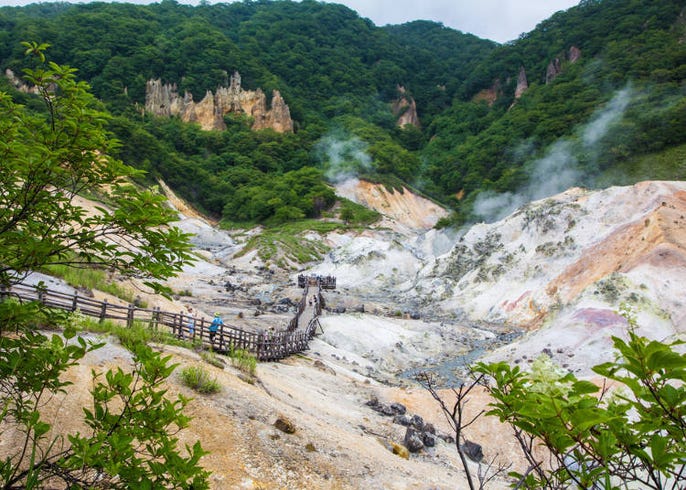 北海道四天五夜精华版行程 一次逛遍札幌 小樽 登别 洞爷湖 Live Japan 日本的旅行 旅游 体验向导