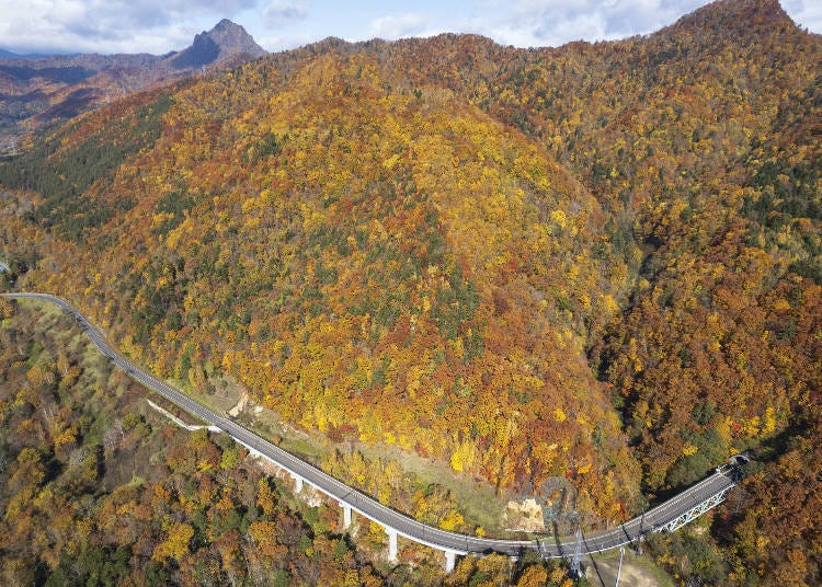 Autumn Foliage Around Jozankei Dam in Hokkaido (Photo: PIXTA)