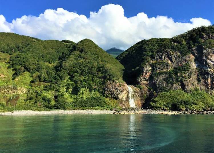 一度は見てみたい夏の世界遺産知床(写真:筆者撮影)