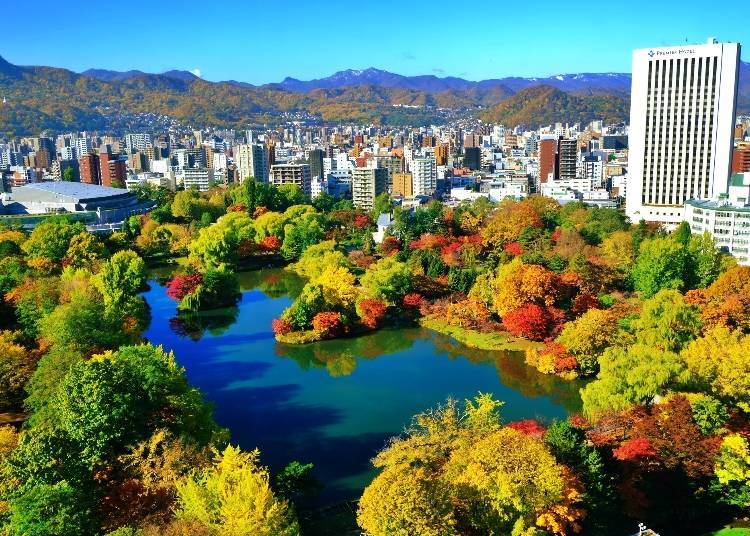 札幌中島公園的紅葉 (照片來源：PIXTA)