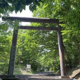 北海道神宮 & 札幌半日遊（含穿和服）
▶點擊預約
圖片提供：Klook