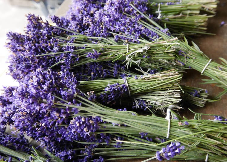 3. Farm Tomita for Hokkaido lavender products