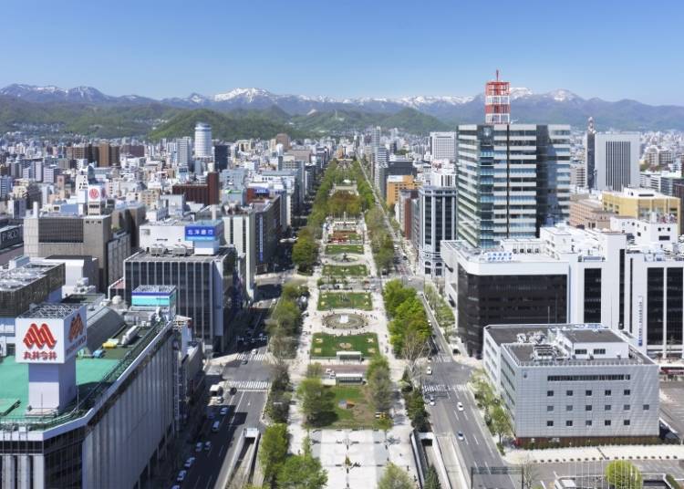 从札幌电视塔眺望出去的大通公园景色