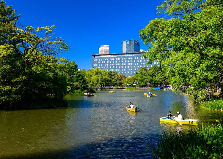 在札幌的中島公園划船（圖片來源：PIXTA）