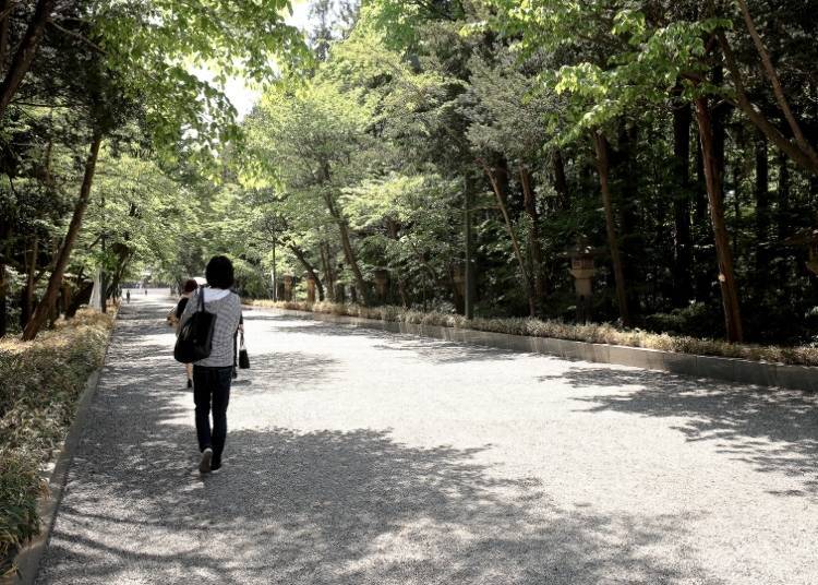나무들로 둘러싸여 있는 오모테산도. 산도의 중앙은 신이 지나간다고 하니 옆으로  걸어가자